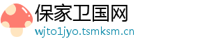 保家卫国网